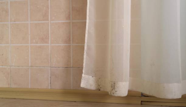 Best Mold Remediation for Rental Properties  in Connerton, FL