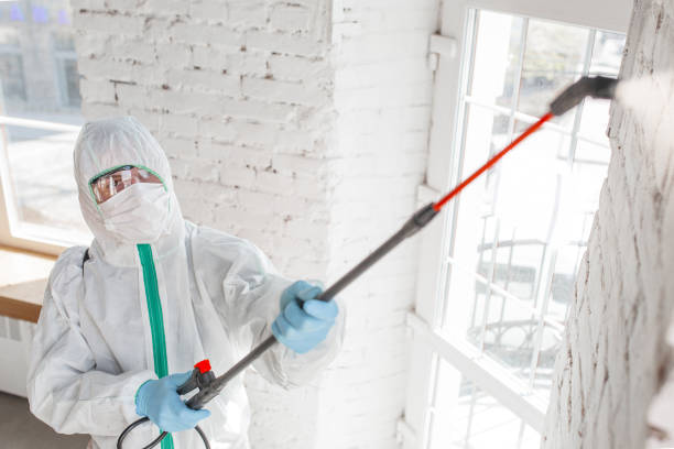 Connerton, FL Mold Removal Company