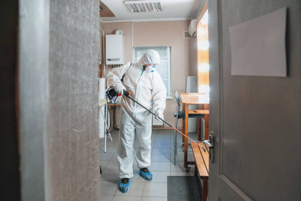 Best Mold Prevention Services  in Connerton, FL