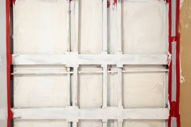 Asbestos and Lead Testing During Mold Inspection in Connerton, FL